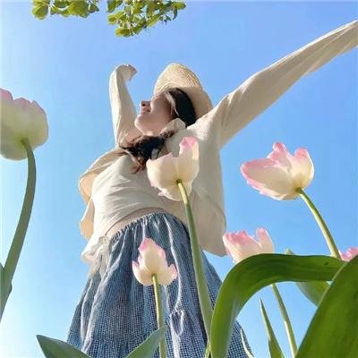 鳄鱼邓迪勇闯洛杉矶